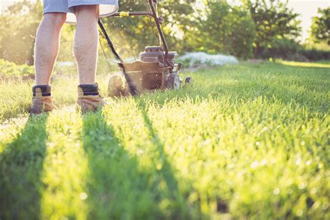 How To Mow A Lawn Properly A Comprehensive Guide