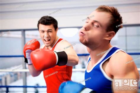 Men Boxing Two Boxers Fighting On The Boxing Ring Stock Photo