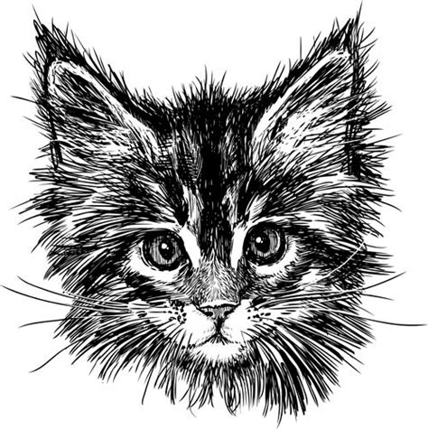 Hand Drawn Cats Head Vector Set 01 Vector Animal Free Download