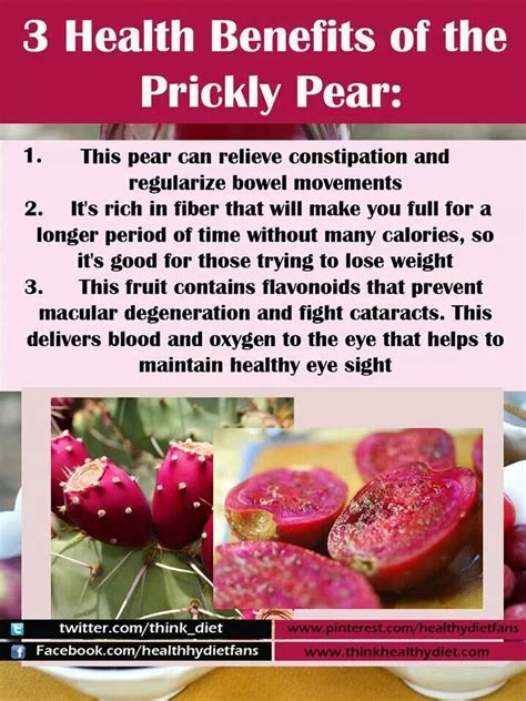 It also has beneficial effects on blood sugar levels, blood lipids and bone health. 3 Health Benefits Of The Prickly Pear | Healthydish facts ...
