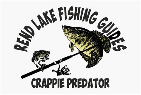 Download Crappie Vector Fish Line Art - White Crappie , Free Transparent Clipart - ClipartKey