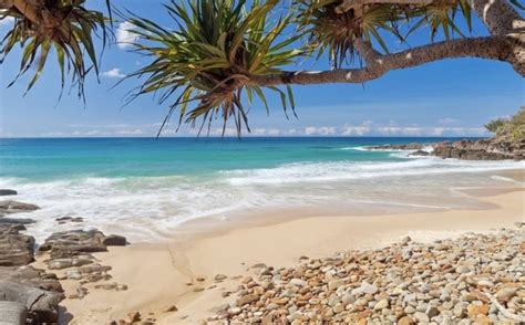 Visit Queensland's Sunshine Coast with kids - Mumpack Travel