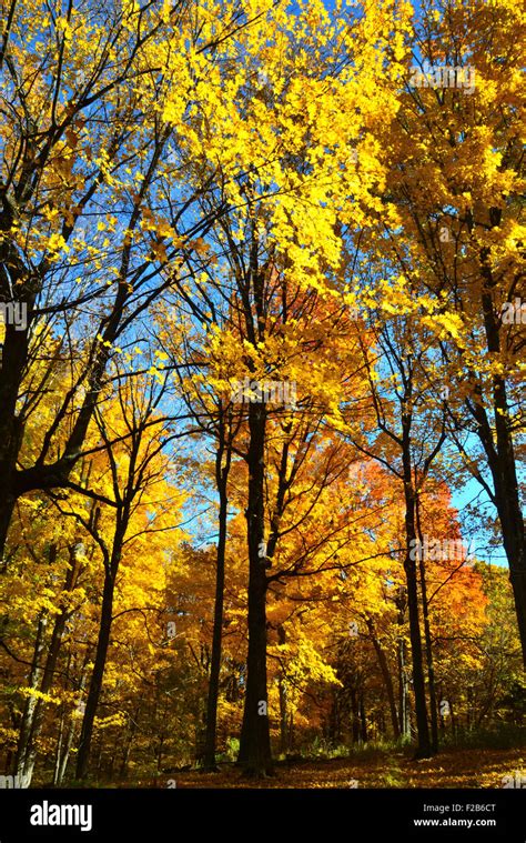 Fall Colors At Devils Lake State Park Near Baraboo Wisconsin Stock