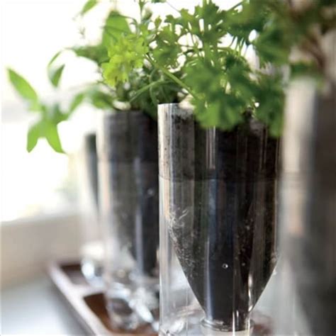 16 Recycled Bottle Planters Diy To Make