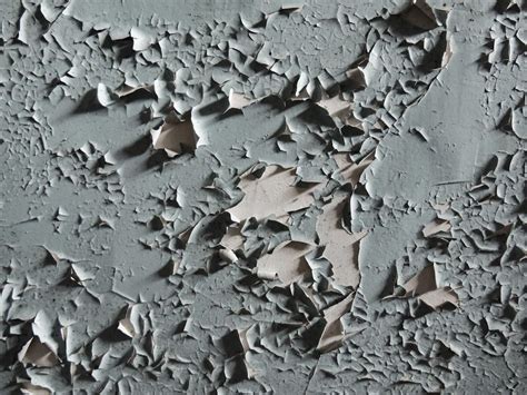15 Causes Of Peeling Paint Off Walls And Ceilings Dengarden