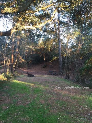 First Landing State Park Campsite Photos Availability Alerts