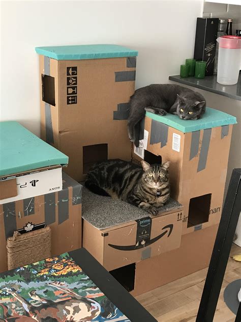 Simple Diy Cardboard Cat House Diy Rose