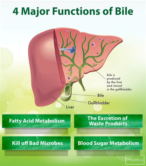 Certain foods can increase the likelihood of heart disease, while others can decrease the risk. Following a Ketogenic Diet without a Gallbladder