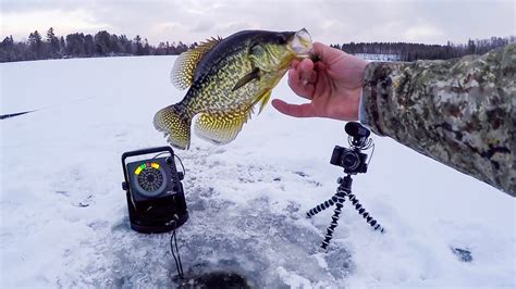 Early Wisconsin Ice Fishing 2018 Schooling Crappies Youtube