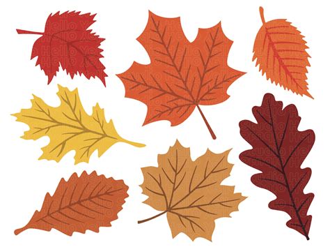 Herbst Blätter Svg Herbstblatt Svg Herbstblatt Svg Bundle Etsy