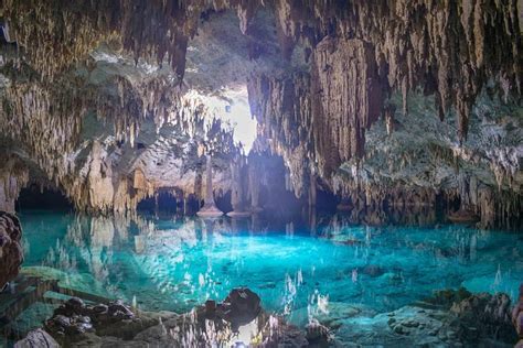 Half Day Private Tulum And Sak Aktun Cave Cenote Tour From Cancun Triphobo