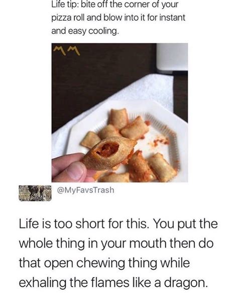 on pizza rolls 18 times people on the internet had the absolute perfect response old memes
