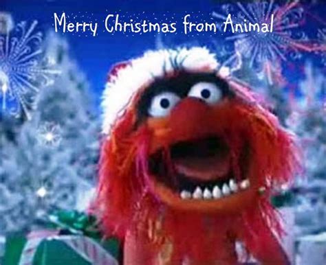 Christmas The Muppet Show Muppets Cute Animals