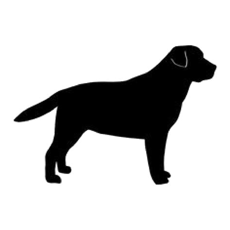 Labrador Retriever Golden Retriever Dog breed Silhouette ...