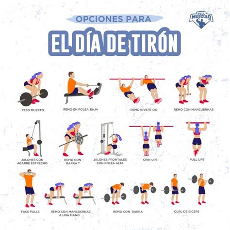 An Illustrated Poster Showing How To Do The Eldia Deitrion Exercises In