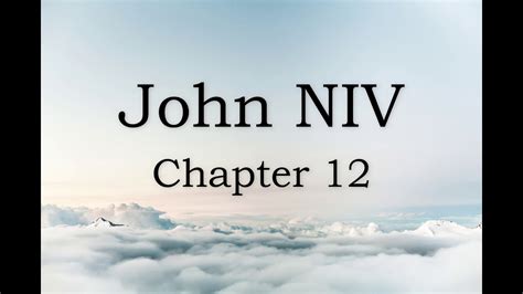 The Book Of John Niv Chapter 12 Audio Youtube