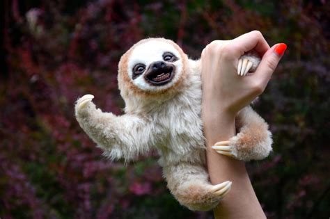 Sloth Etsy Sloth Cute Baby Sloths Baby Sloth