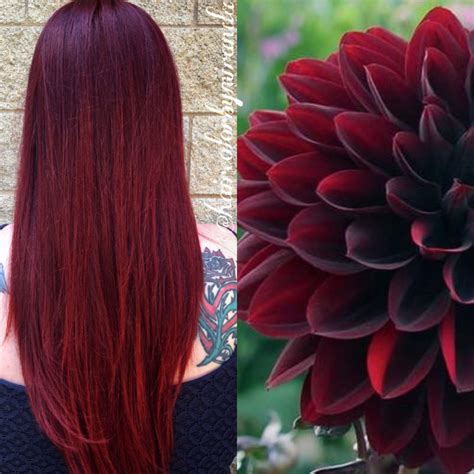 Red Burgundy Maroon Long Hair Color By Haircolorbymiranda
