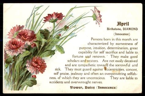 Antique April Birthstone Diamond Innocence Flower Daisy Postcard
