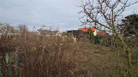 Die eberswalder faschingstage finden im historischen haus schwärzetal statt. Einfamilienhaus auf großem Grundstück mit wunderschönem ...