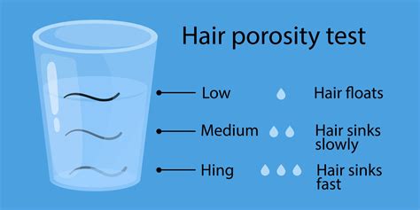 How To Test Porosity Of Hair Organigrowhairco