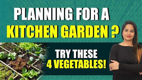 Here Are 4 Vegetables You Can Grow Very Quickly Sana Ram Youtube