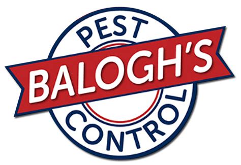 Subscribe to the florida pest control newsletter. Pest Control Zephyrhills Fl | Pest Control