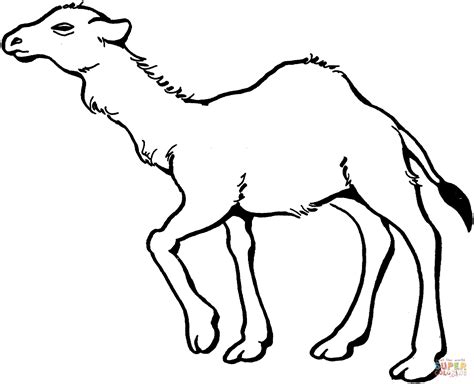 Camel Caravan Coloring Page - Coloring Home