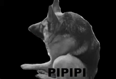 Pipipi Plantilla Meme By Cali2711 Sound Effect Meme Button Tuna