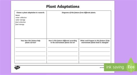 What Is Plant Adaptation Plants And Adaptations Twinkl
