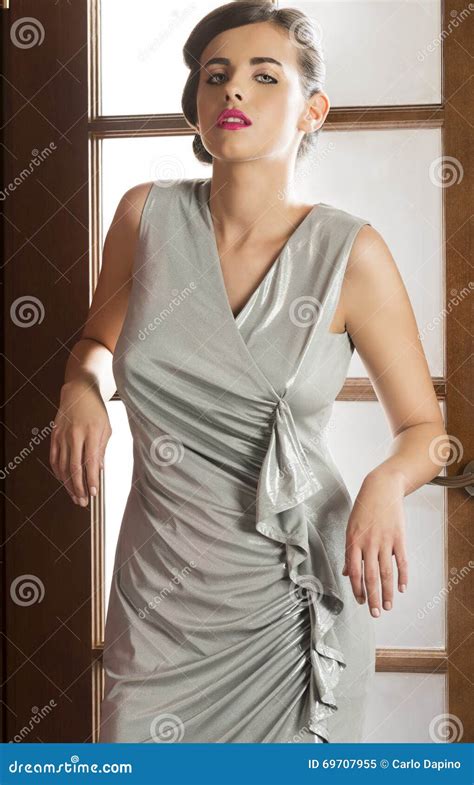Stunning Elegant Woman Stock Image Image Of Caucasian 69707955