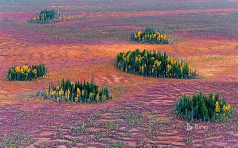 The Boreal Forest Known As The Taiga Circles Through Canada