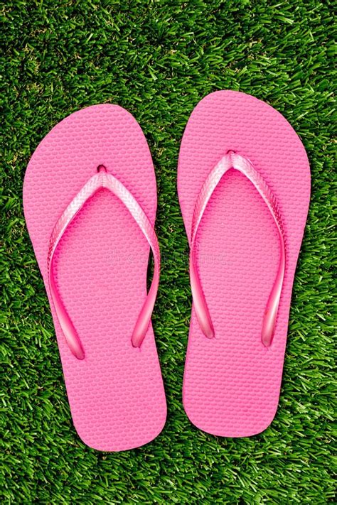 Pink Flip Flops Stock Photo Image Of Flop Pair Plastic 107731028