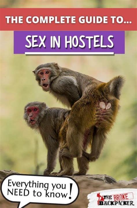 Sex In Hostels Steamy Stories Lessons For
