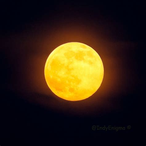 Honey Moon♥ Einstein Full Moon Honeymoon Celestial Views Flickr Outdoor Harvest Moon
