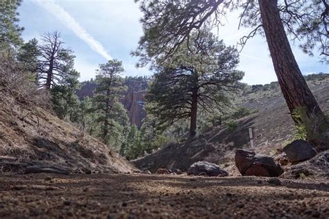 Red Mountain Trail Flagstaff Az Top Tips Before You Go With Photos