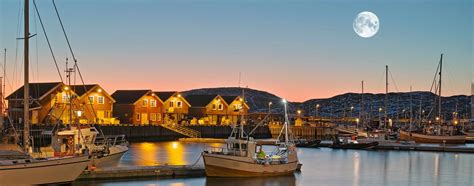 Hurtigruten show indifference to genuine customer complaints and only communicate on a general impersonal level. Norway Ports - Bodø | Hurtigruten UK | Hurtigruten UK