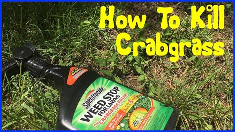 It is a selective herbicide so it will kill crabgrass and other lawn. How to Kill Crabgrass - Spectracide Crabgrass Killer - YouTube