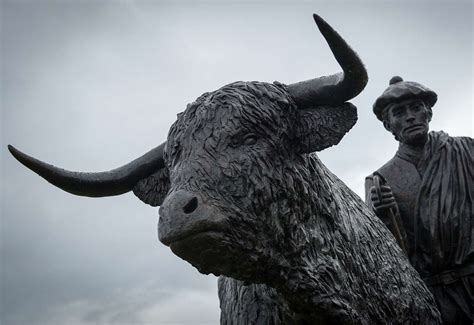 'Extraordinary trade' at 'gargantuan' sheep sale at Dingwall Mart