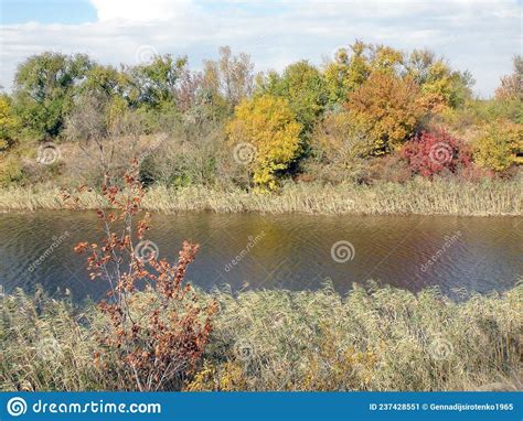 Autumn Landscapes Of Brightly Decorated Flora Of The Southern Ukrainian