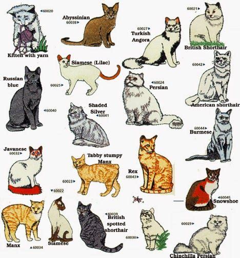 All Cat Breeds A Z With Pictures Wild Cat Breeds Cat Breeds All Cat