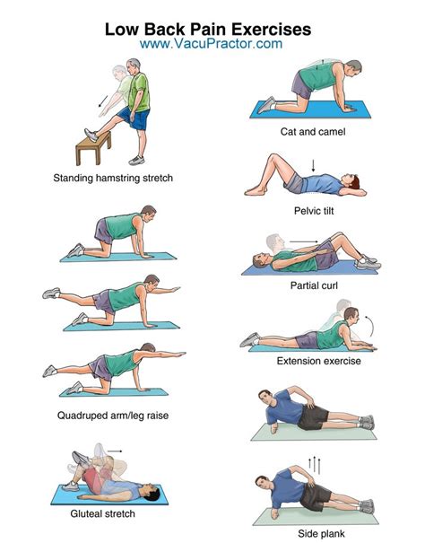 Lower Back Pain Relief Exercises For Lower Back And Back Pain Relief