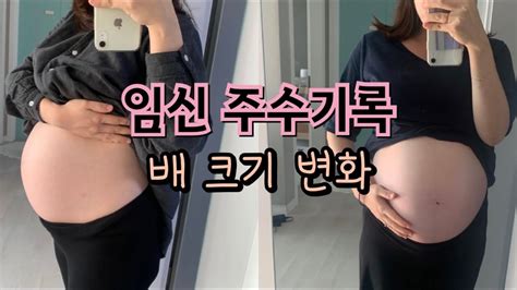 임신브이로그 주수별 배 크기 변화 임신주수사진 임신주수별사진 YouTube