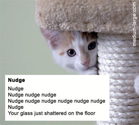 11 Hilarious Poems Written by Cats - I Can Has Cheezburger?