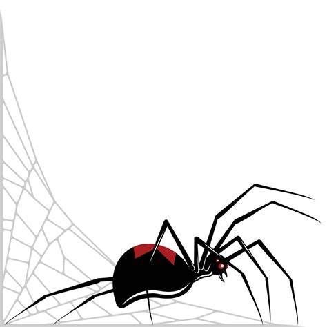 Black Widow Spider Vector Design Spider Latrodectus Mactans Arachnid