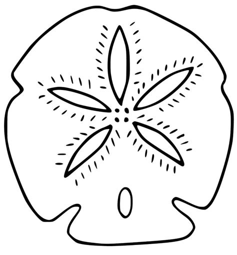Sand Dollar 4 Coloring Page Printable Coloring Page For Kids Coloring