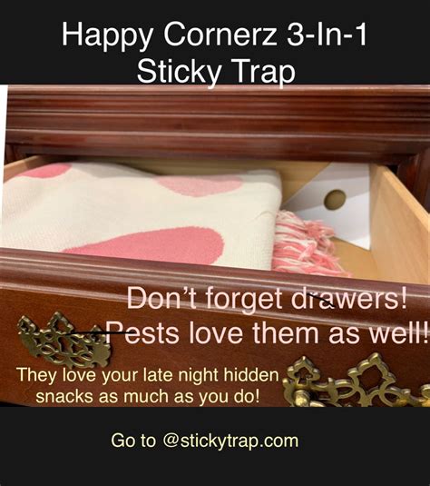 Diy Sticky Traps For Roaches Spiders Any P͏e͏st In Your Drawers Buy