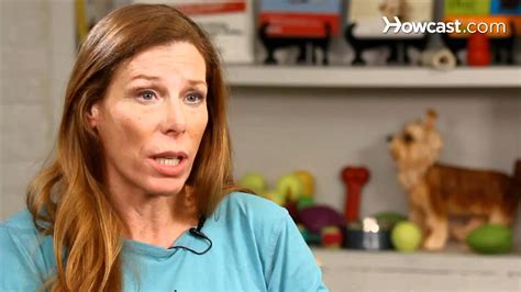 Feb 06, 2020 · the meds block prostaglandin production; How to Stop Poop Eating | Dog Training - YouTube