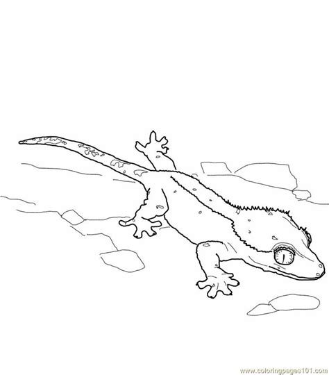 Hand drawn doodle, zentangle, floral design. Coloring Pages Crested Gecko Lizard (Reptile > Lizard ...