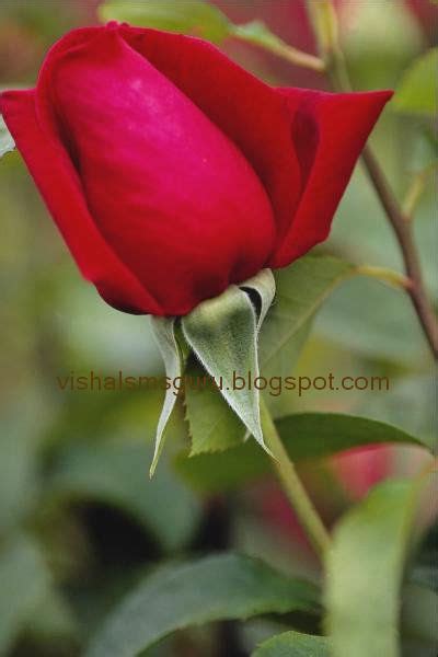 Maybe you would like to learn more about one of these? Vishal SMS Guru | SMS Guru Vishal | Vishal SMS Collection ...